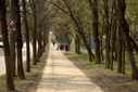 Файл=IMAG0529.JPG
Объём=318KB
Размеры=1195x800
Дата=Апр 12, 2009 IMAG0529.JPG