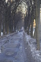 Файл=IMAG0618.JPG
Объём=285KB
Размеры=800x1195
Дата=Апр 12, 2009 IMAG0618.JPG