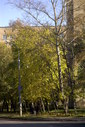 Файл=IMAG0113.JPG
Объём=380KB
Размеры=800x1195
Дата=Апр 12, 2009 IMAG0113.JPG