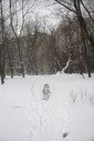 Файл=IMAG0148.JPG
Объём=246KB
Размеры=800x1195
Дата=Апр 12, 2009 IMAG0148.JPG