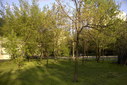 Файл=IMAG0311.JPG
Объём=386KB
Размеры=1195x800
Дата=Апр 12, 2009 IMAG0311.JPG