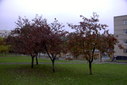 Файл=IMAG0142.JPG
Объём=267KB
Размеры=1195x800
Дата=Апр 12, 2009 IMAG0142.JPG