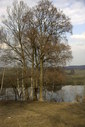 Файл=IMAG0314.JPG
Объём=345KB
Размеры=800x1195
Дата=Апр 12, 2009 IMAG0314.JPG