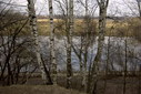 Файл=IMAG0320.JPG
Объём=342KB
Размеры=1195x800
Дата=Апр 12, 2009 IMAG0320.JPG