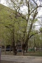 Файл=IMAG0552.JPG
Объём=421KB
Размеры=800x1195
Дата=Апр 12, 2009 IMAG0552.JPG