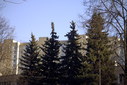 Файл=IMAG0582.JPG
Объём=312KB
Размеры=1195x800
Дата=Апр 12, 2009 IMAG0582.JPG