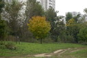 Файл=IMAG0082.JPG
Объём=229KB
Размеры=896x600
Дата=Апр 12, 2009 IMAG0082.JPG