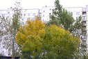 Файл=IMAG0089.JPG
Объём=328KB
Размеры=1195x800
Дата=Апр 12, 2009 IMAG0089.JPG