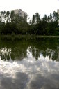 Файл=IMAG0217.JPG
Объём=246KB
Размеры=800x1195
Дата=Апр 12, 2009 IMAG0217.JPG