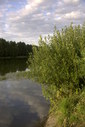 Файл=IMAG0222.JPG
Объём=271KB
Размеры=800x1195
Дата=Апр 12, 2009 IMAG0222.JPG