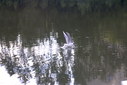 Файл=IMAG0240.JPG
Объём=202KB
Размеры=1195x800
Дата=Апр 12, 2009 IMAG0240.JPG