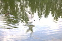 Файл=IMAG0243.JPG
Объём=218KB
Размеры=1195x800
Дата=Апр 12, 2009 IMAG0243.JPG