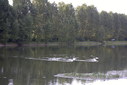 Файл=IMAG0259.JPG
Объём=244KB
Размеры=1195x800
Дата=Апр 12, 2009 IMAG0259.JPG