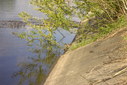 Файл=IMAG0279.JPG
Объём=347KB
Размеры=1195x800
Дата=Апр 12, 2009 IMAG0279.JPG