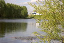 Файл=IMAG0281.JPG
Объём=317KB
Размеры=1195x800
Дата=Апр 12, 2009 IMAG0281.JPG