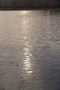 Файл=IMAG0438.JPG
Объём=241KB
Размеры=800x1195
Дата=Апр 12, 2009 IMAG0438.JPG