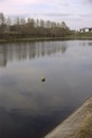 Файл=IMAG0442.JPG
Объём=152KB
Размеры=800x1195
Дата=Апр 12, 2009 IMAG0442.JPG