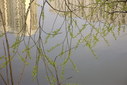 IMAG0482.JPG