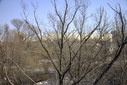 Файл=IMAG0029.JPG
Объём=368KB
Размеры=1195x800
Дата=Апр 12, 2009 IMAG0029.JPG