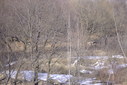 Файл=IMAG0031.JPG
Объём=354KB
Размеры=1195x800
Дата=Апр 12, 2009 IMAG0031.JPG