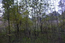 Файл=IMAG0118.JPG
Объём=429KB
Размеры=1195x800
Дата=Апр 12, 2009 IMAG0118.JPG