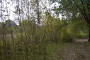 Файл=IMAG0119.JPG
Объём=376KB
Размеры=1195x800
Дата=Апр 12, 2009 IMAG0119.JPG