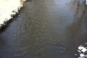 Файл=IMAG0270.JPG
Объём=220KB
Размеры=1195x800
Дата=Апр 12, 2009 IMAG0270.JPG