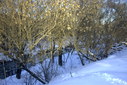 Файл=IMAG0275.JPG
Объём=381KB
Размеры=1195x800
Дата=Апр 12, 2009 IMAG0275.JPG