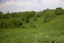 Файл=IMAG0554.JPG
Объём=263KB
Размеры=1195x800
Дата=Апр 12, 2009 IMAG0554.JPG