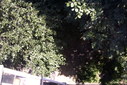 Файл=IMAG0348.JPG
Объём=316KB
Размеры=1195x800
Дата=Апр 12, 2009 IMAG0348.JPG
