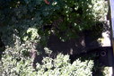 Файл=IMAG0349.JPG
Объём=330KB
Размеры=1195x800
Дата=Апр 12, 2009 IMAG0349.JPG