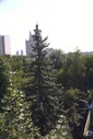 Файл=IMAG0386.JPG
Объём=263KB
Размеры=800x1195
Дата=Апр 12, 2009 IMAG0386.JPG