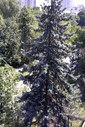 Файл=IMAG0387.JPG
Объём=455KB
Размеры=800x1195
Дата=Апр 12, 2009 IMAG0387.JPG