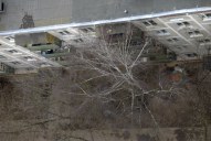 Файл=IMAG0105.JPG
Объём=254KB
Размеры=1338x896
Дата=Апр 11, 2009 IMAG0105.JPG
