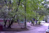 Файл=IMAG0027.JPG
Объём=367KB
Размеры=1338x896
Дата=Апр 11, 2009 IMAG0027.JPG