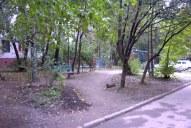 Файл=IMAG0029.JPG
Объём=373KB
Размеры=1338x896
Дата=Апр 11, 2009 IMAG0029.JPG