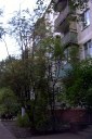 Файл=IMAG0031.JPG
Объём=185KB
Размеры=600x896
Дата=Апр 11, 2009 IMAG0031.JPG