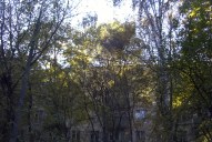 Файл=IMAG0088.JPG
Объём=437KB
Размеры=1338x896
Дата=Апр 11, 2009 IMAG0088.JPG