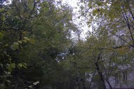 Файл=IMAG0107.JPG
Объём=372KB
Размеры=1338x896
Дата=Апр 11, 2009 IMAG0107.JPG