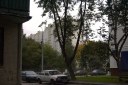 Файл=IMAG0024.JPG
Объём=324KB
Размеры=1338x896
Дата=Апр 11, 2009 IMAG0024.JPG