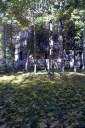 Файл=IMAG0122.JPG
Объём=230KB
Размеры=600x896
Дата=Апр 11, 2009 IMAG0122.JPG