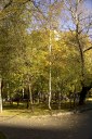 Файл=IMAG0123.JPG
Объём=262KB
Размеры=600x896
Дата=Апр 11, 2009 IMAG0123.JPG