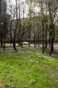 Файл=IMAG0558.JPG
Объём=255KB
Размеры=600x896
Дата=Апр 11, 2009 IMAG0558.JPG