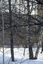 Файл=IMAG0594.JPG
Объём=230KB
Размеры=600x896
Дата=Апр 11, 2009 IMAG0594.JPG
