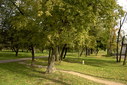 Файл=IMAG0012.JPG
Объём=405KB
Размеры=1195x800
Дата=Апр 12, 2009 IMAG0012.JPG