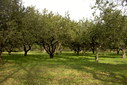Файл=IMAG0016.JPG
Объём=394KB
Размеры=1195x800
Дата=Апр 12, 2009 IMAG0016.JPG