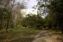 Файл=IMAG0020.JPG
Объём=370KB
Размеры=1195x800
Дата=Апр 12, 2009 IMAG0020.JPG