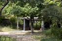 Файл=IMAG0024.JPG
Объём=415KB
Размеры=1195x800
Дата=Апр 12, 2009 IMAG0024.JPG