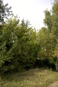 Файл=IMAG0025.JPG
Объём=374KB
Размеры=800x1195
Дата=Апр 12, 2009 IMAG0025.JPG