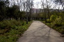 Файл=IMAG0026.JPG
Объём=344KB
Размеры=1195x800
Дата=Апр 12, 2009 IMAG0026.JPG